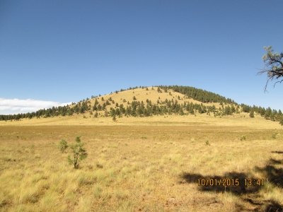 Antelope Hill