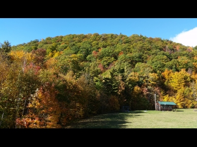 Clark Mountain