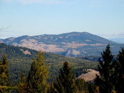 Buckhorn Mountain