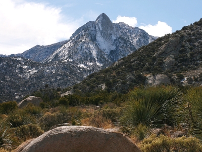 Sugarloaf Peak