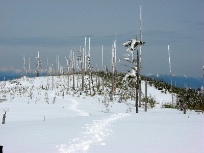 Sumas Mountain