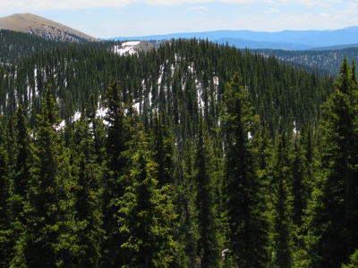 Shaw Ridge