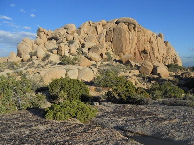 Jumbo Rocks