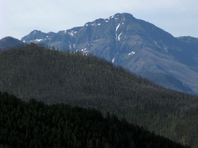 Wallace, Mount