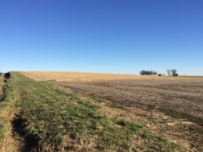 Brushy Mound