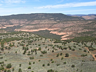 Tenderfoot Mesa