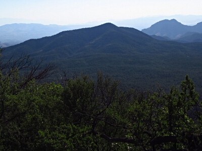 Tillie Hall Peak