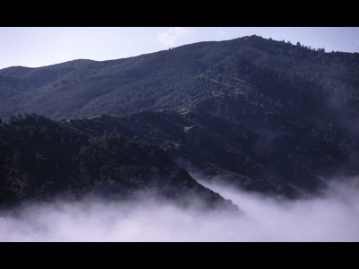 Willow Ridge