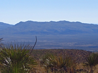 Miller Mountain