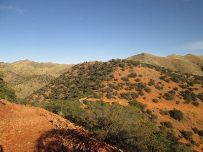 Youngblood Hill