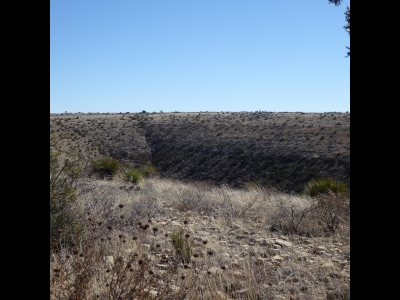 McGruder Hill