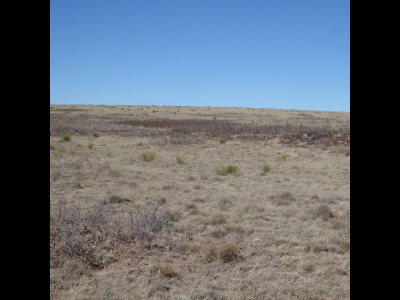 Buffalo Soldier Hill