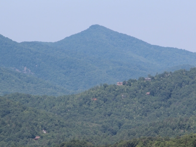Wolf Knob