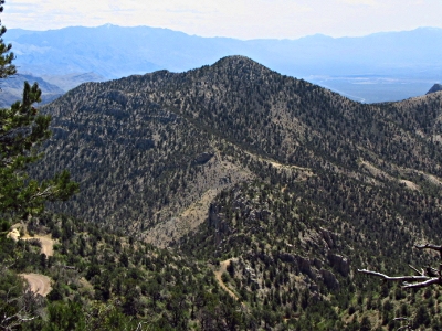 "Zion View Peak"