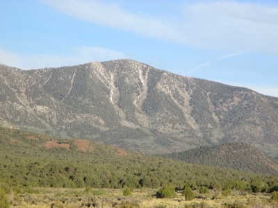 Duckwater Peak