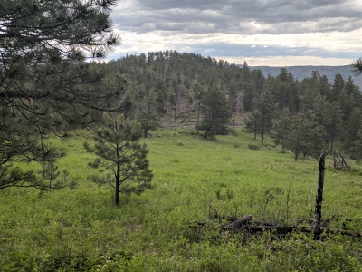 Fiddler Ridge