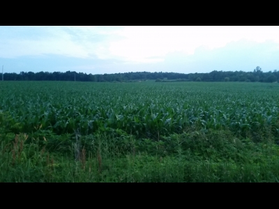 Hillsdale County HP