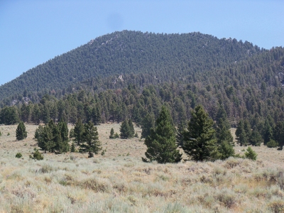 Thunderhead Mountain