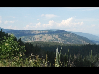 Staehly Mountain