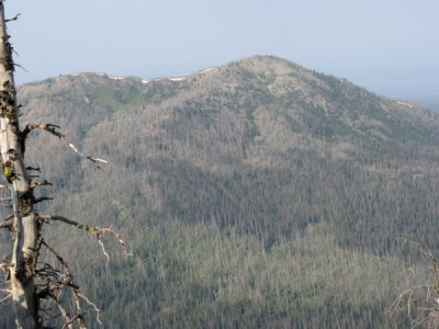 Grizzly Peak