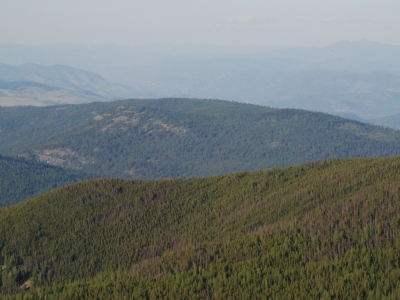 Jackknife Mountain