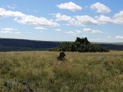 Little Mesa