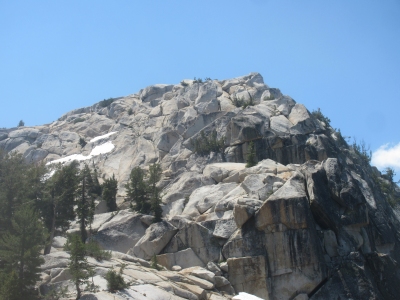 Polly Dome