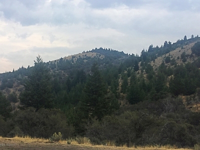 Bald Mountain