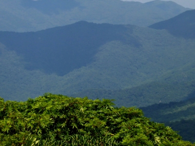 High Knob