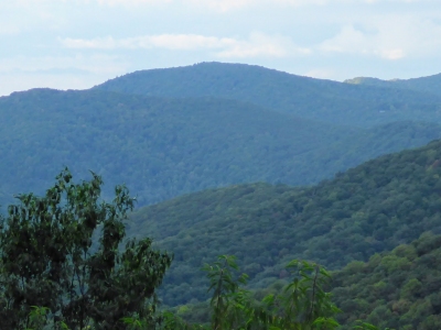 Buck Knob