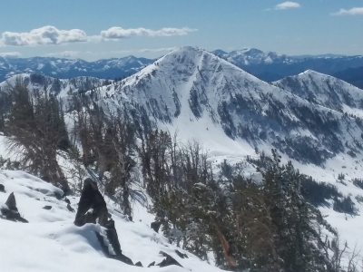 Paradise Peak