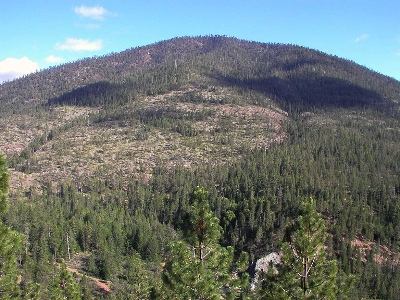 Eight Dollar Mountain