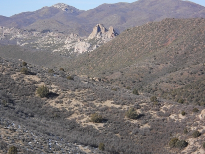 Pinnacles, The