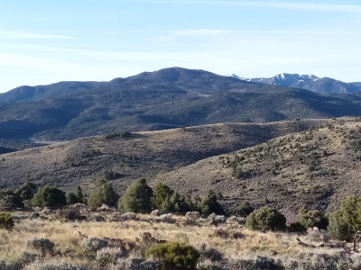 Nevada Hill