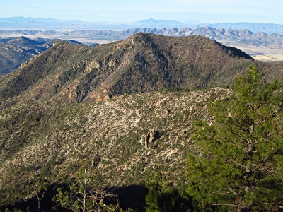 Turtle Mountain