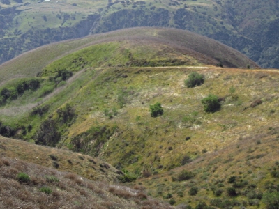 Scully Hill