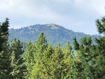 Thorn Creek Butte