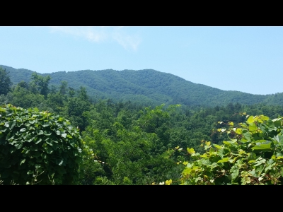 Waucheesi Mountain