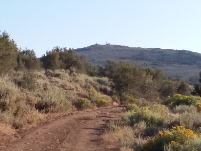 Fredonyer Peak