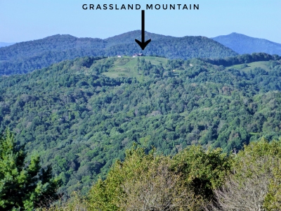 Grassland Mountain