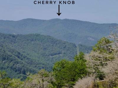 Cherry Knob