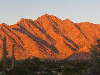 Cholla Benchmark