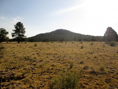 Spitz Hill