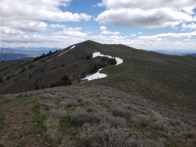 California Mountain