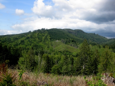 "Galbraith Mountain"