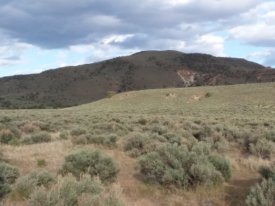 Hungry Ridge, South