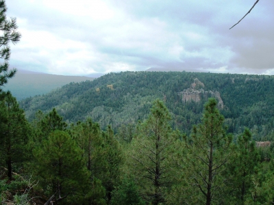 Cebollita Mesa