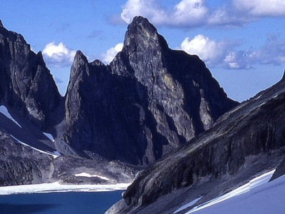 "Devils Tongue"