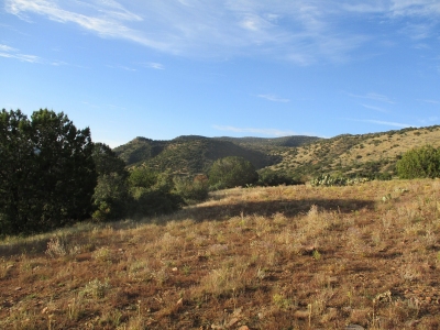 Boneyback Peak