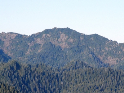 Quinault Ridge